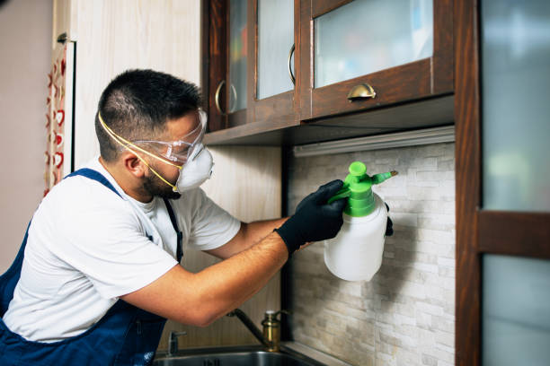 Best Pest Control Near Me  in Brown Station, MD
