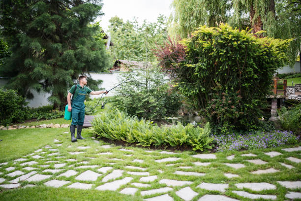 Best Best Pest Control Companies  in Brown Station, MD