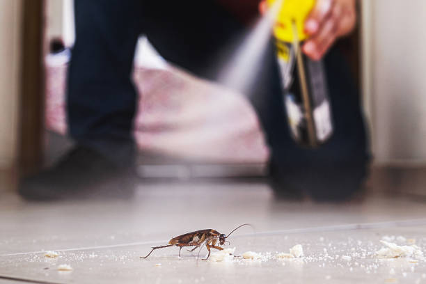  Brown Station, MD Pest Control Pros